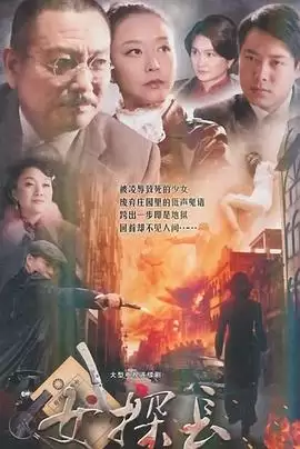 电视剧《女探长》剧情介绍