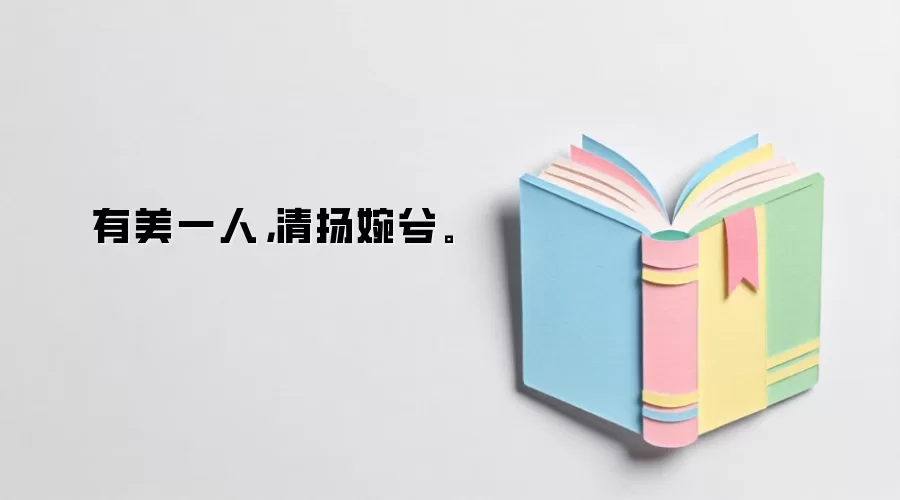 有美一人,清扬婉兮。