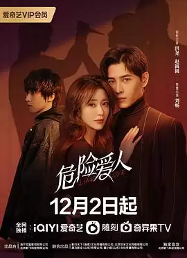 电视剧《危险爱人》剧情介绍