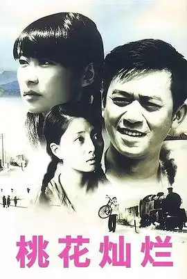 电视剧《桃花灿烂》剧情介绍