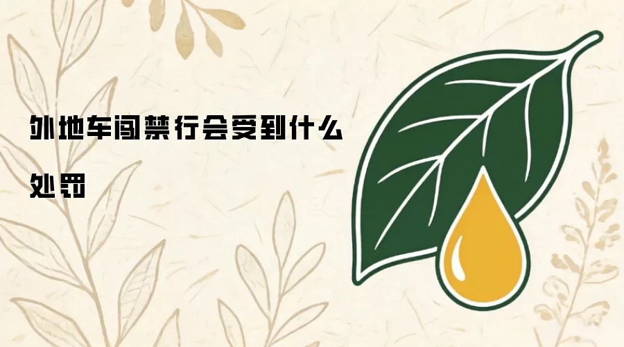 外地车闯禁行会受到什么处罚