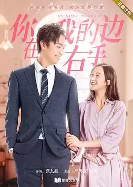 电视剧《你在我的右手边》剧情介绍