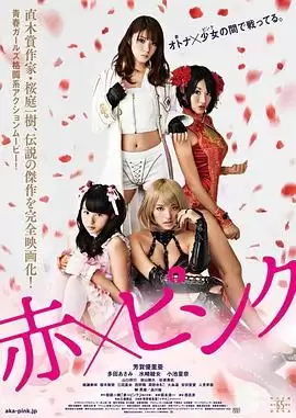 电影《红粉金刚》剧情介绍