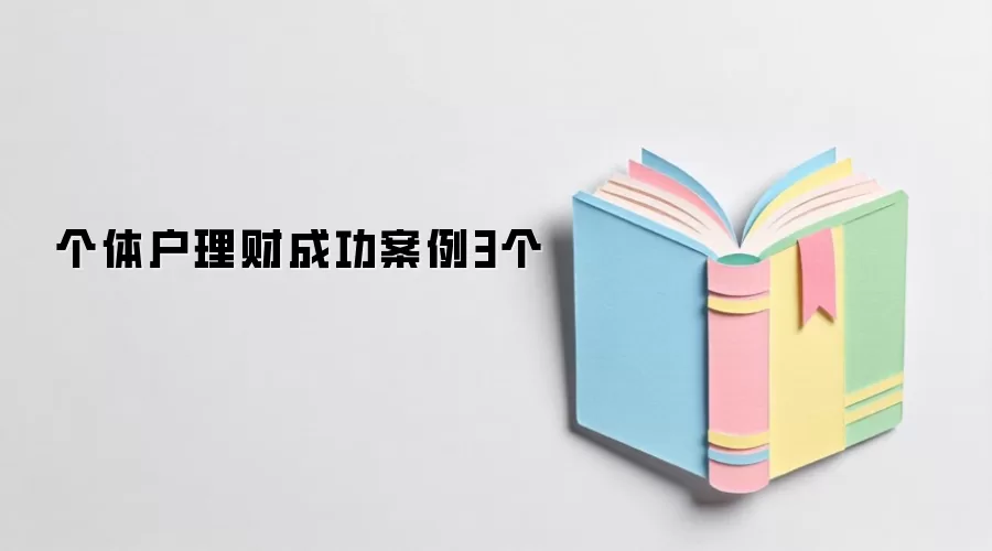 个体户理财成功案例3个