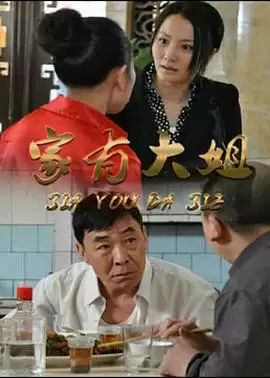 电视剧《家有大姐》剧情介绍