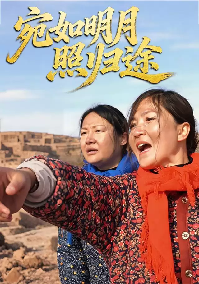 短剧《宛如明月照归途》剧情介绍