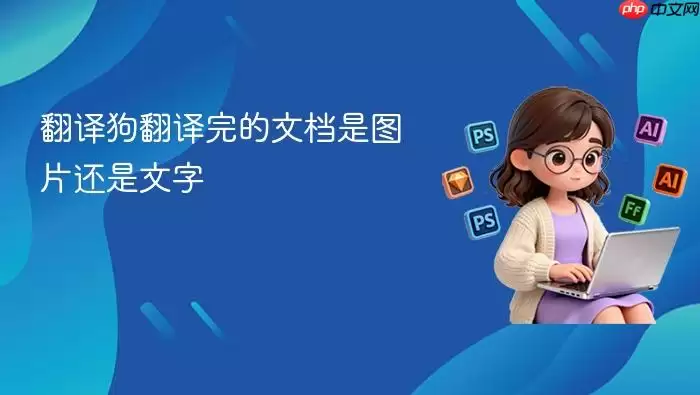 翻译狗翻译完的文档是图片还是文字