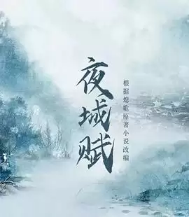 电视剧《夜城赋》剧情介绍