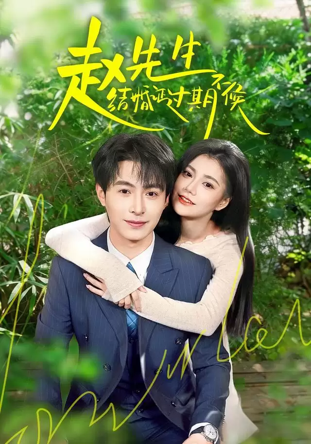 短剧《赵先生结婚证过期不候》剧情介绍
