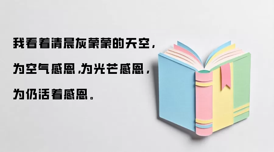 我看着清晨灰蒙蒙的天空，为空气感恩，为光芒感恩，为仍活着感恩。