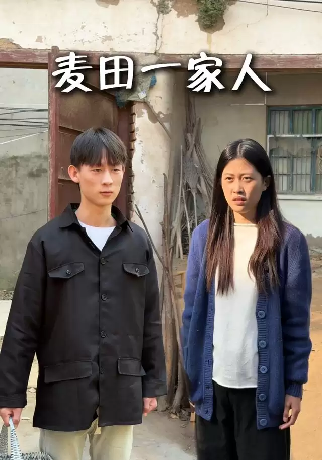 短剧《麦田一家人》剧情介绍
