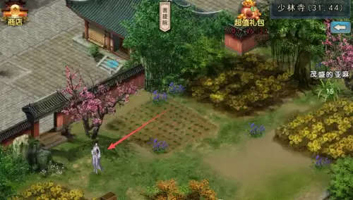 濡沫江湖少林宝箱分布地点-少林四个宝箱位置图