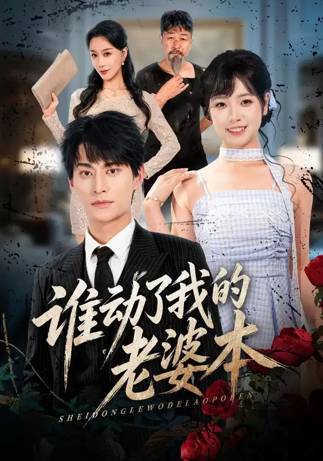 短剧《谁动了我的老婆本》剧情介绍