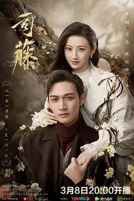 电视剧《司藤》剧情介绍