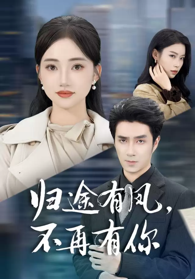 短剧《归途有风，不再有你》剧情介绍