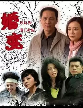 电视剧《婚变》剧情介绍