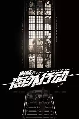 电视剧《刑警之海外行动》剧情介绍