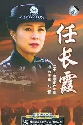 电视剧《任长霞2005》剧情介绍