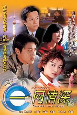 电视剧《E网情深》剧情介绍
