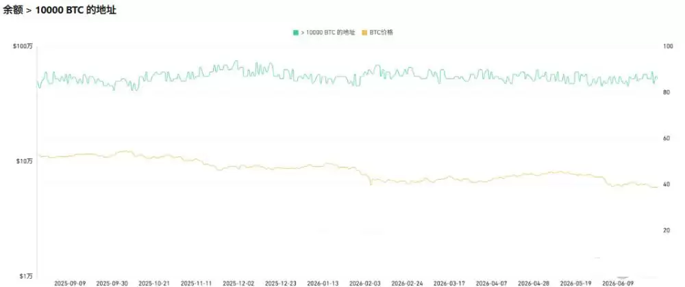 比特币链上信号