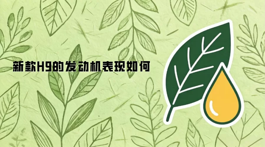 新款H9的发动机表现如何