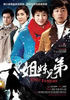 电视剧《姐妹兄弟》剧情介绍