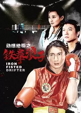 电视剧《铁拳浪子》剧情介绍