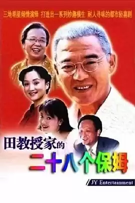 电视剧《田教授家的28个保姆》剧情介绍
