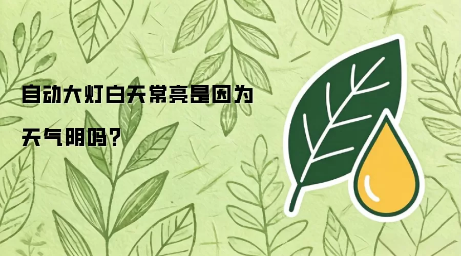 自动大灯白天常亮是因为天气阴吗?