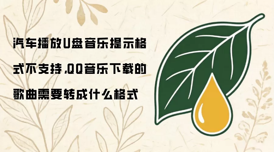 汽车播放U盘音乐提示格式不支持,QQ音乐下载的歌曲需要转成什么格式