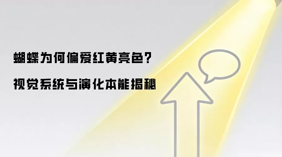 蝴蝶为何偏爱红黄亮色？视觉系统与演化本能揭秘