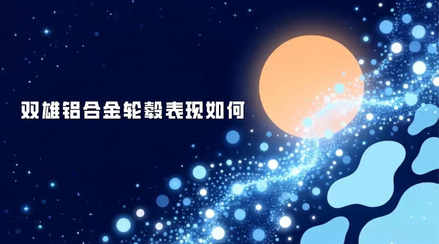 双雄铝合金轮毂表现如何