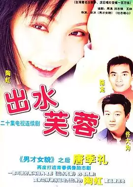 电视剧《出水芙蓉2003》剧情介绍