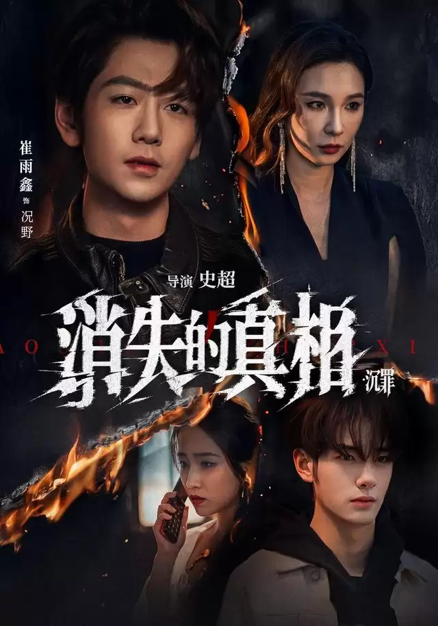 短剧《消失的真相·沉罪》剧情介绍