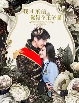 电影《我才不信你是个王子呢》剧情介绍