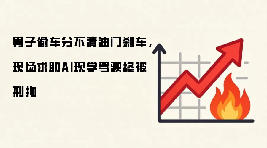 男子偷车分不清油门刹车，现场求助AI现学驾驶终被刑拘