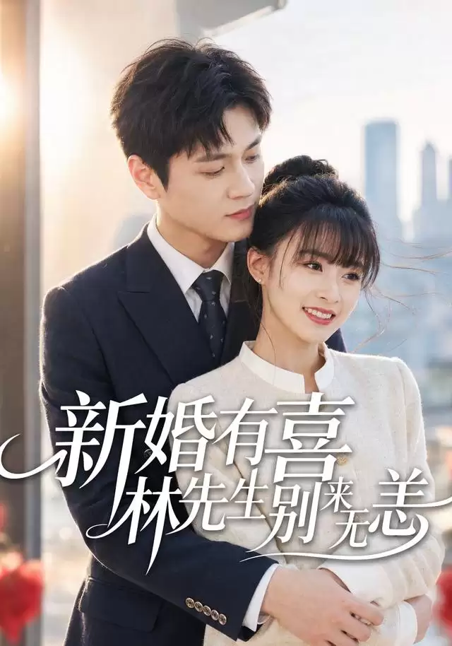 短剧《新婚有喜林先生别来无恙》剧情介绍
