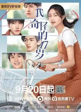 电视剧《我奇怪的17岁》剧情介绍