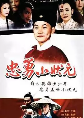 电视剧《忠勇小状元》剧情介绍