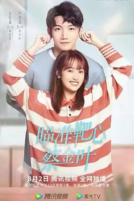 电视剧《瞄准靶心！蔡金叶》剧情介绍