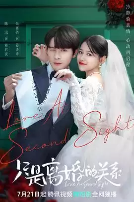 电视剧《只是离婚的关系》剧情介绍