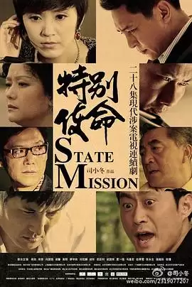 电视剧《特别使命》剧情介绍