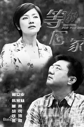电视剧《我在等你回家》剧情介绍