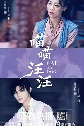 电视剧《喵喵汪汪》剧情介绍