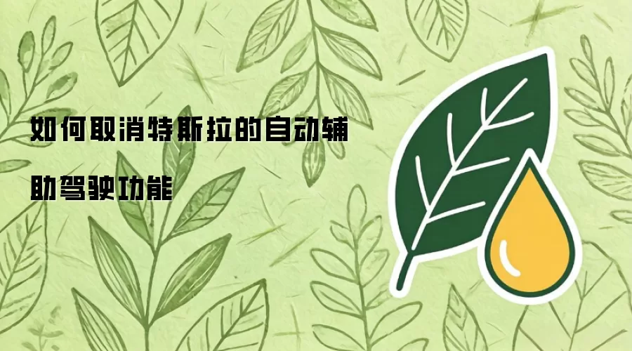 如何取消特斯拉的自动辅助驾驶功能