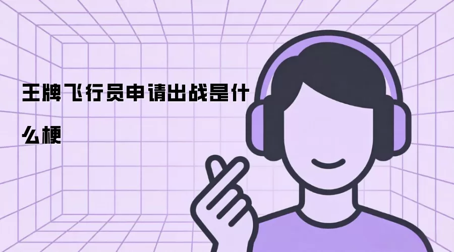 王牌飞行员申请出战是什么梗