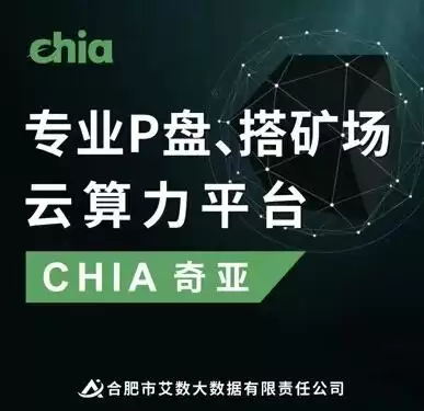 什么是P盘?chia奇亚矿池搭建