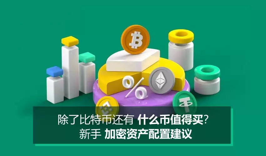 除了比特币还有什么币值得买？新手加密资产配置建议