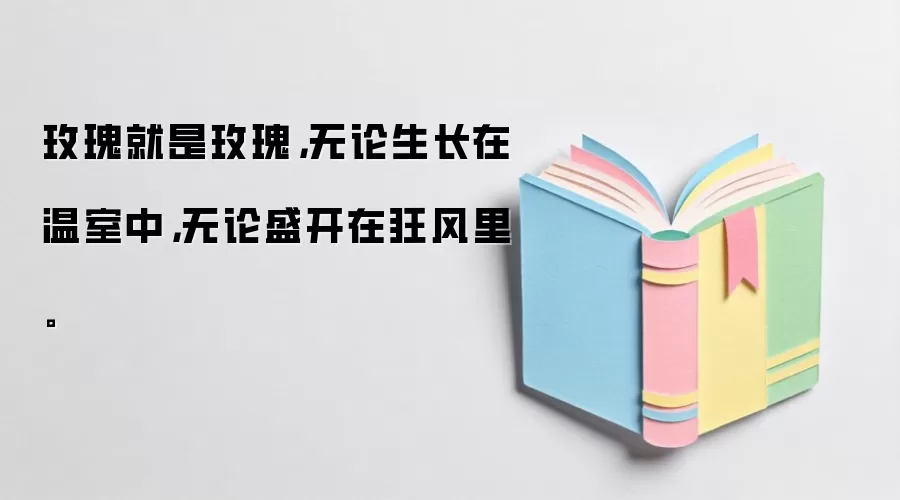 玫瑰就是玫瑰，无论生长在温室中，无论盛开在狂风里。