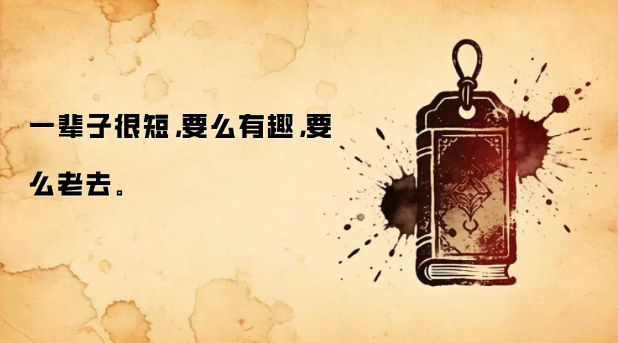 一辈子很短，要么有趣，要么老去。